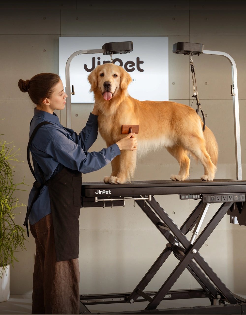 Designed for Pet Confidence, Built for Absolute Stability