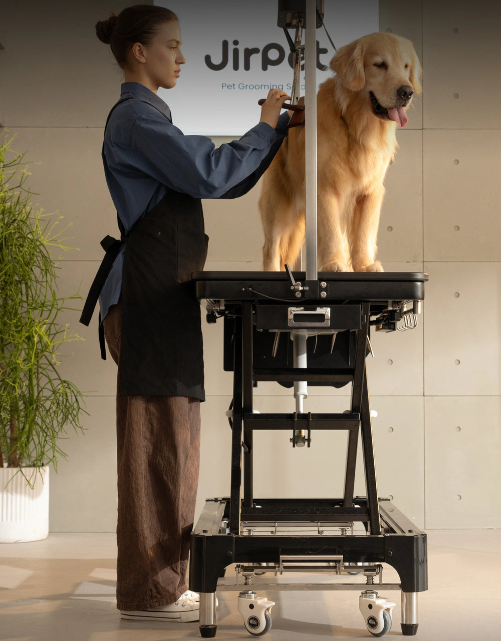 Turn Complex Grooming Into Simple Creation