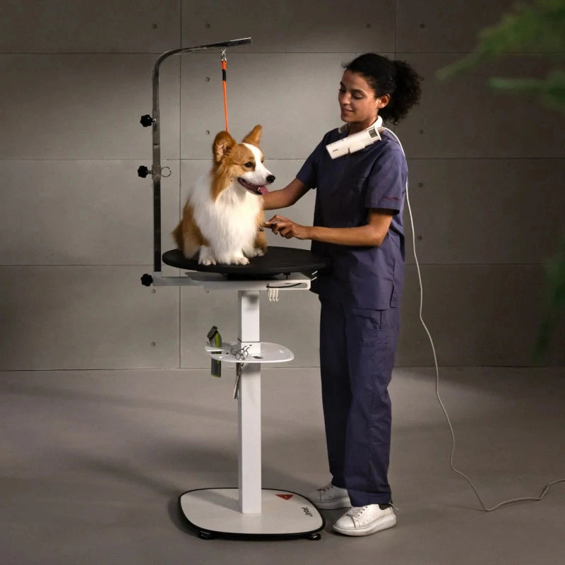Jirpet Rotique360 Hydraulic 360° Rotating Pet Grooming Table for Small to Medium Pets