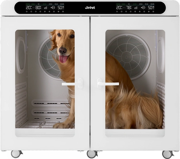 1 Big Dog