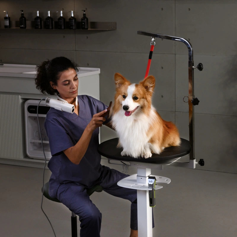 Jirpet Rotique360 Hydraulic 360° Rotating Pet Grooming Table for Small to Medium Pets