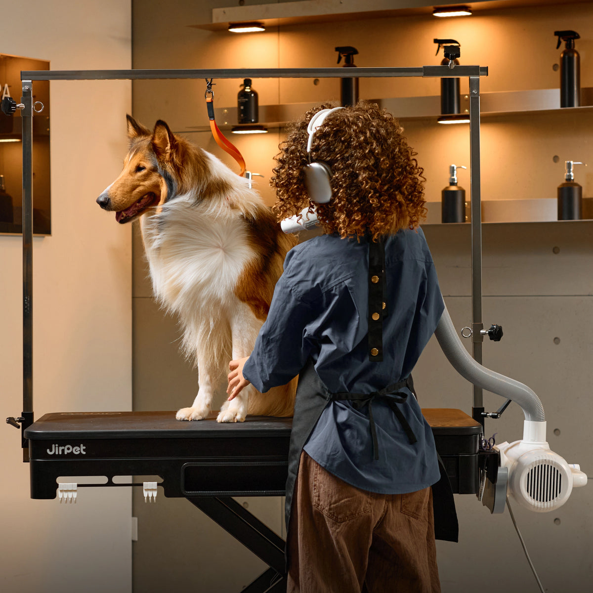 Jirpet Twin Triton I Unheated Pet Force Dryer