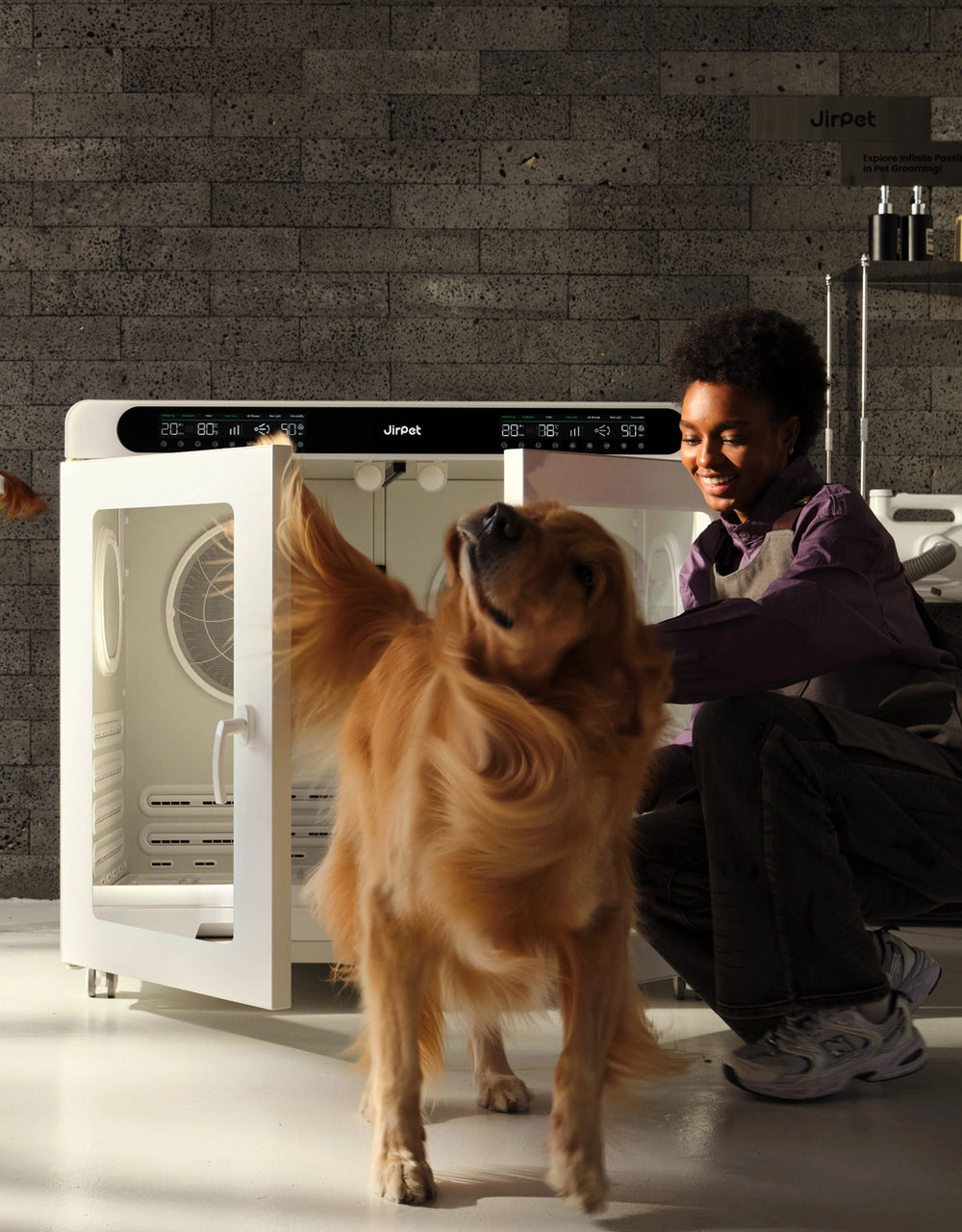 Professional Drying for Better Coat Health