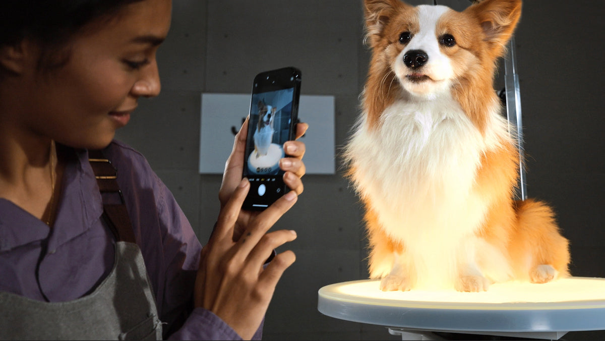 Perfectly for Pet Photography
