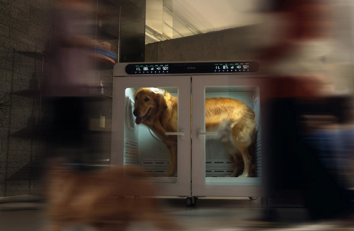 Committed to Pet Safety