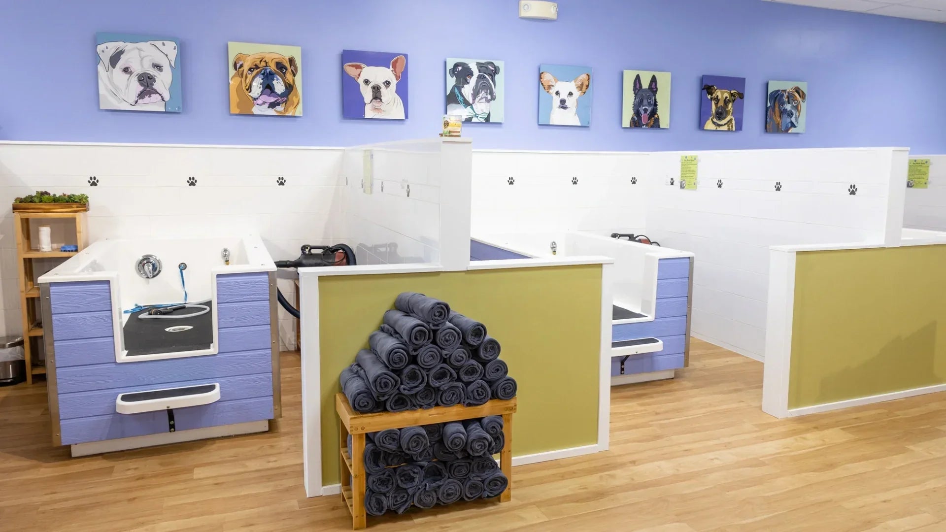 Why Self-Service Dog Washes Are Becoming a Bigger Part of Pet Grooming