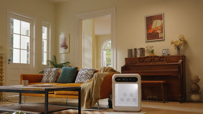 Pet Dryer Cabin Package Update Notice