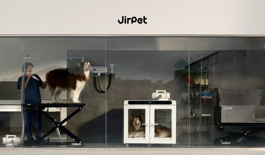 Pet Force Dryer vs Drying Cabin: Which Does Your Grooming Salon Need?