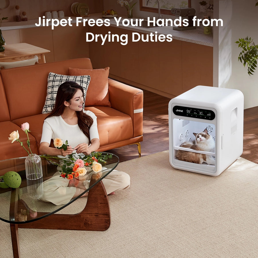 Jirpet F1 Professional Pet Dryer Cabinet for Small Dogs & Cats | Quiet Grooming Dryer