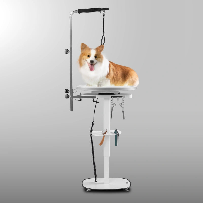 Jirpet Radiant360 360° Rotating Electric Pet Grooming Table with LED Light