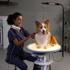 360° Rotating Electric Pet Grooming Table with LED Light – Jirpet Radiant360