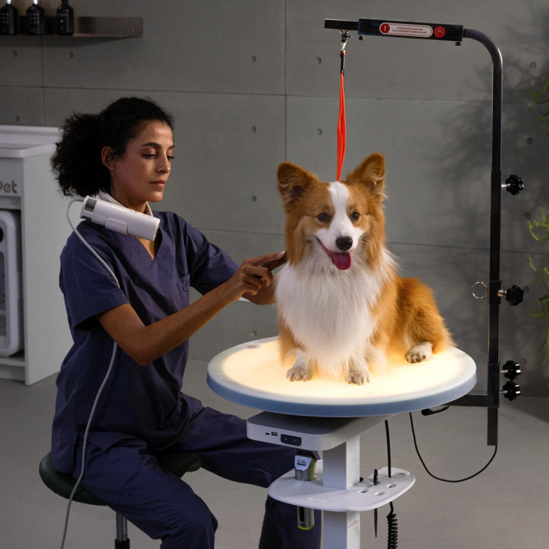 Jirpet Radiant360 360° Rotating Electric Pet Grooming Table with LED Light