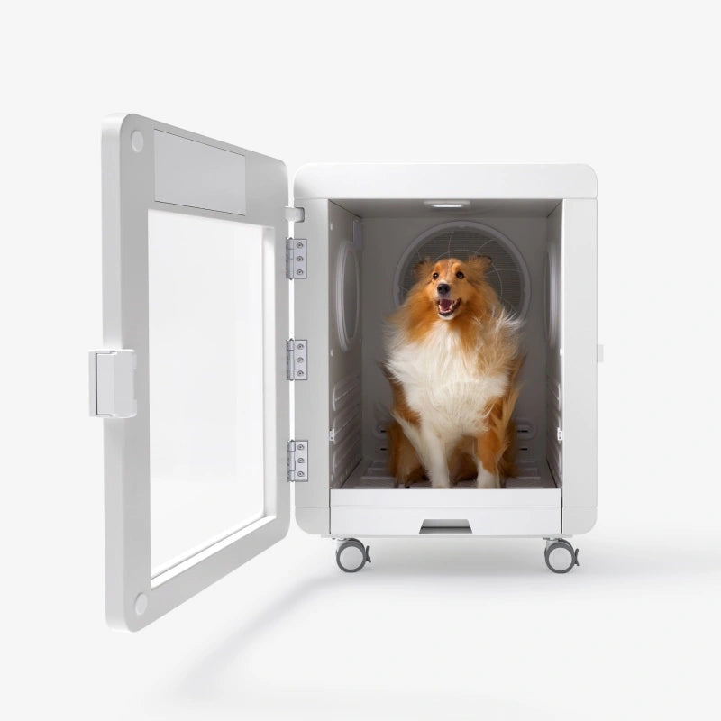 Professional Pet Dryer Cabinet for Medium Dogs – Jirpet C7S
