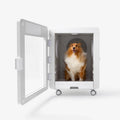 Professional Pet Dryer Cabinet for Medium Dogs – Jirpet C7S