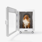 Professional Pet Dryer Cabinet for Medium Dogs – Jirpet C7S