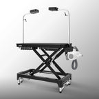 Jirpet Atlas Professional Electric Grooming Table with Adjustable Height & LED Arm