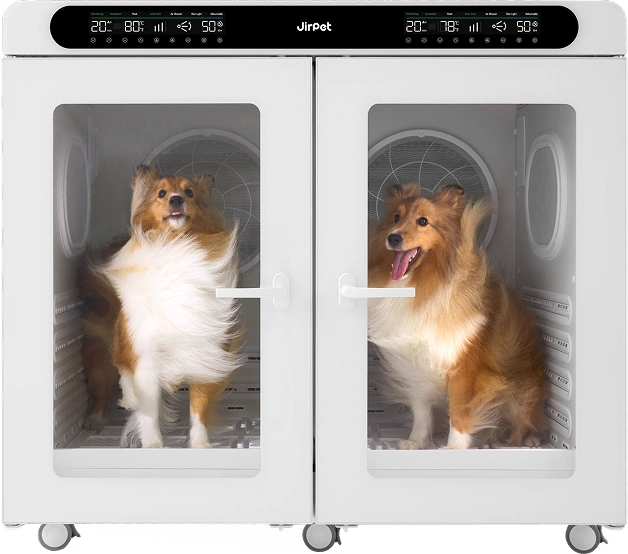 2 Small-medium dogs