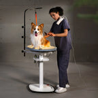 Jirpet Revolve360 Hydraulic 360° Rotating Pet Grooming Table with Tabletop Light