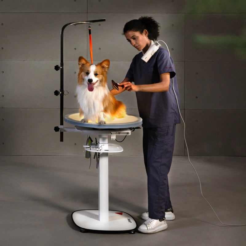 Jirpet Revolve360 Hydraulic 360° Rotating Pet Grooming Table with Tabletop Light