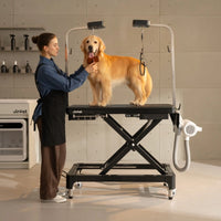 Jirpet Atlas Professional Electric Grooming Table with Adjustable Height & LED Arm