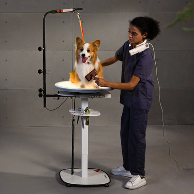 Jirpet Radiant360 360° Rotating Electric Pet Grooming Table with LED Light