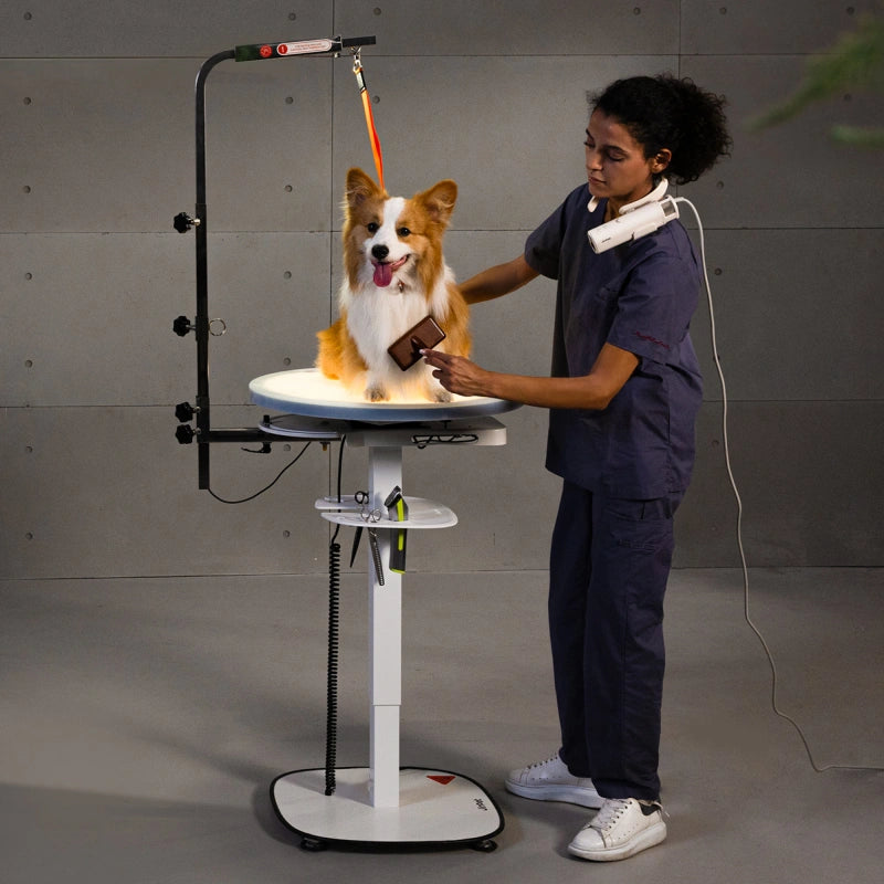 Jirpet Radiant360 360° Rotating Electric Pet Grooming Table with LED Light