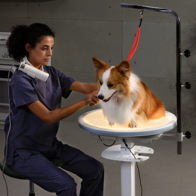 Jirpet Revolve360 Hydraulic 360° Rotating Pet Grooming Table with Tabletop Light