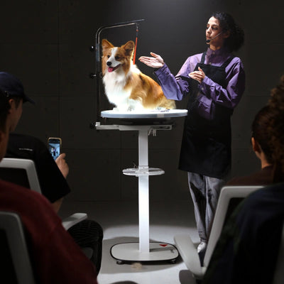 Jirpet Revolve360 Hydraulic 360° Rotating Pet Grooming Table with Tabletop Light