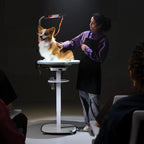 360° Rotating Electric Pet Grooming Table with LED Light – Jirpet Radiant360