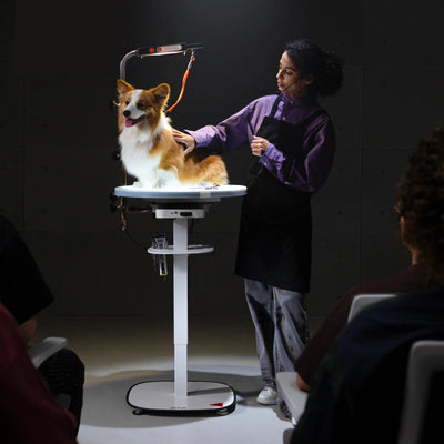 Jirpet Radiant360 360° Rotating Electric Pet Grooming Table with LED Light