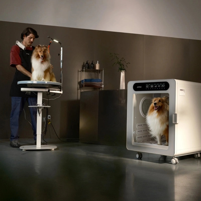Professional Pet Dryer Cabinet for Medium Dogs – Jirpet C7S