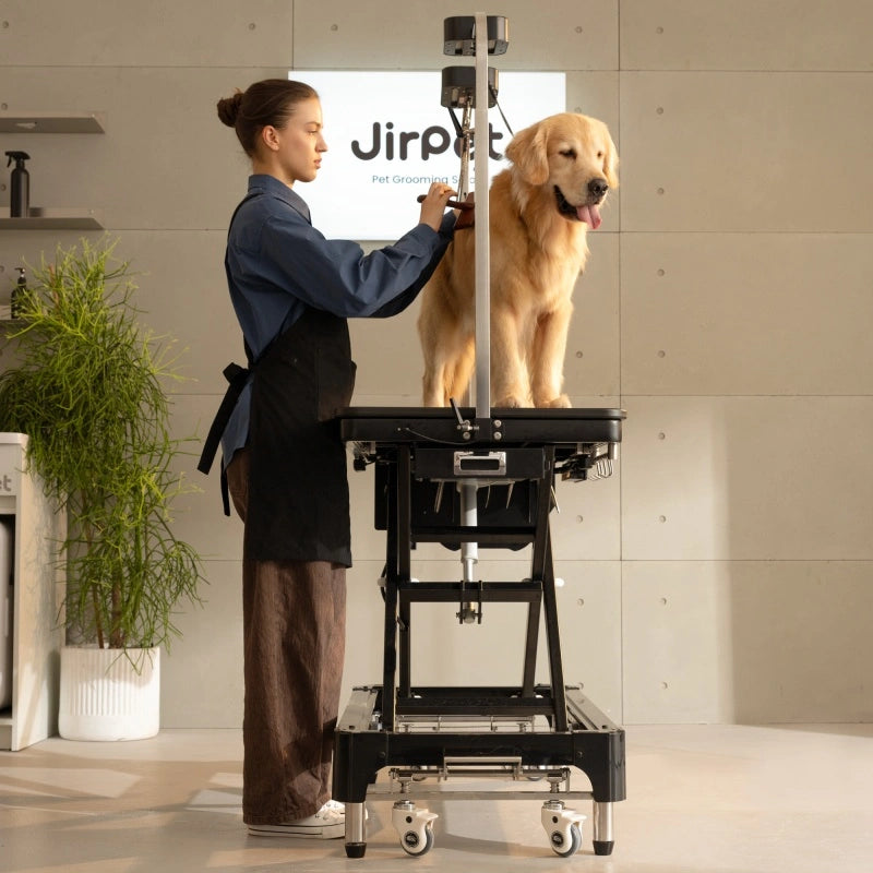 Jirpet Atlas Professional Electric Grooming Table with Adjustable Height & LED Arm