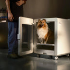 Professional Pet Dryer Cabinet for Medium Dogs – Jirpet C7S