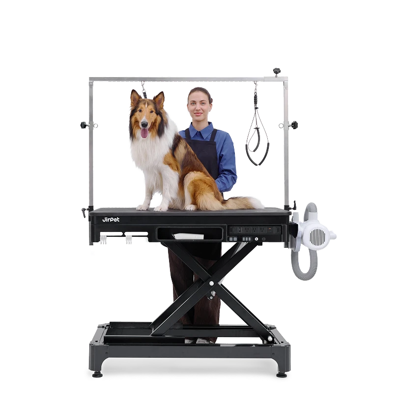 Jirpet Atlas Professional Electric Grooming Table with Adjustable Height & LED Arm