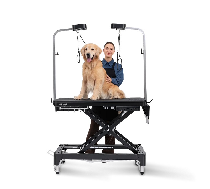 Jirpet Atlas Professional Electric Grooming Table with Adjustable Height & LED Arm