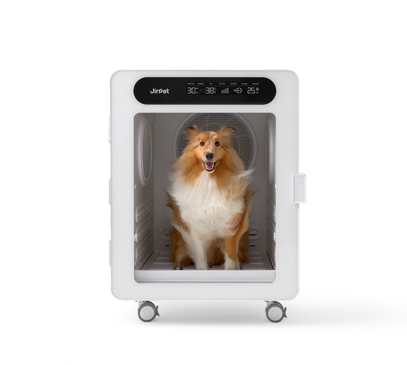Jirpet C7S Professional Pet Dryer Cabinet for Medium Dogs