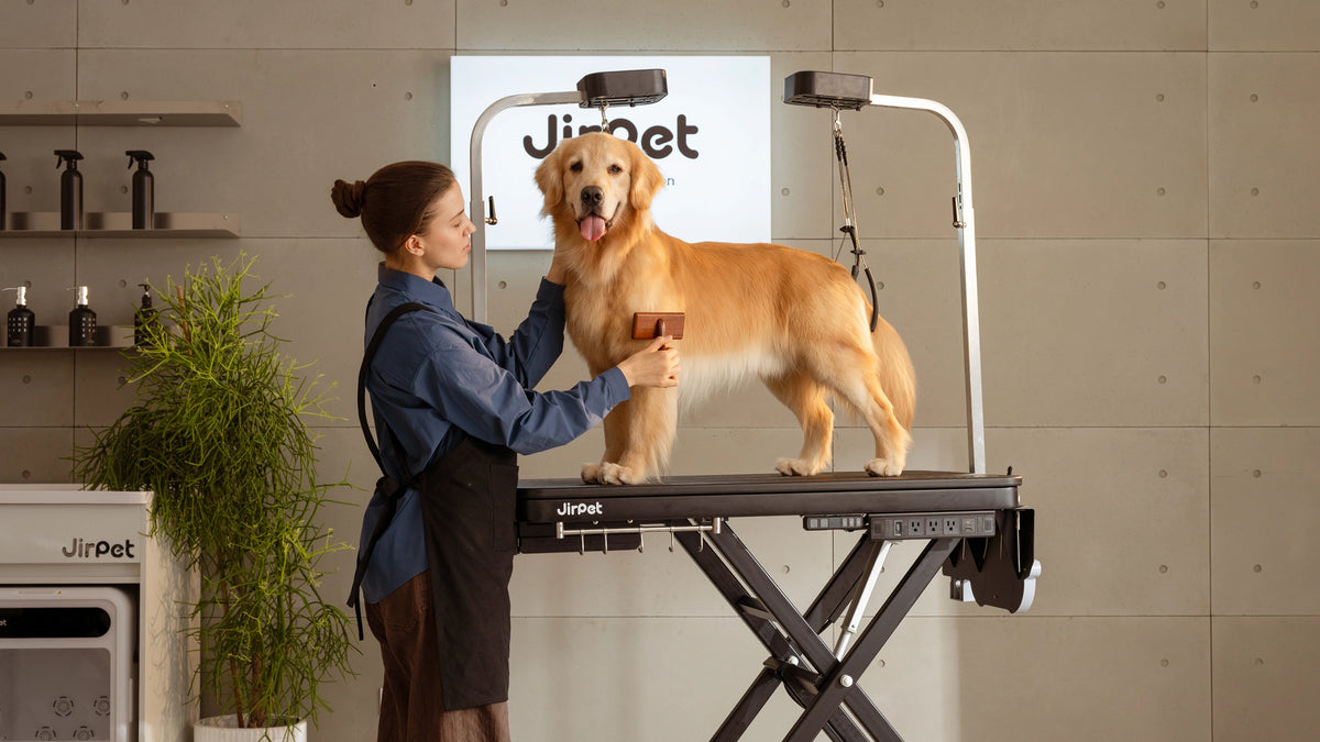Designed for Pet Confidence, Built for Absolute Stability