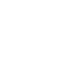 15 Amp Standard Plug