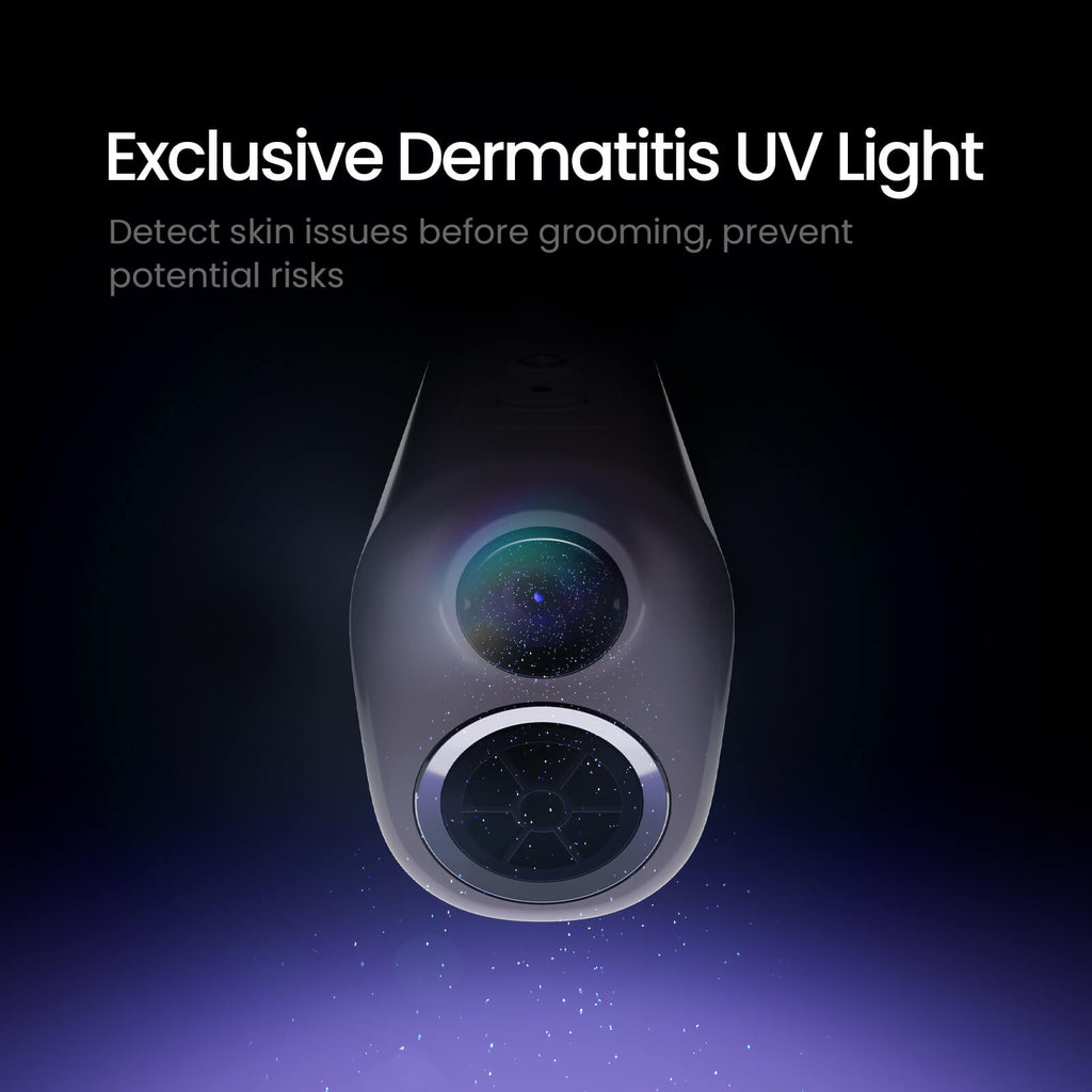 Jirpet Harmony I Pet Neck Dryer