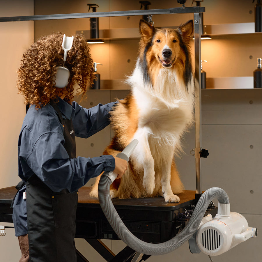 Jirpet Twin Triton I Unheated Pet Force Dryer