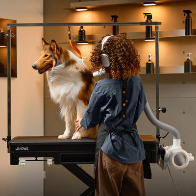 Jirpet Twin Triton I Unheated Pet Force Dryer