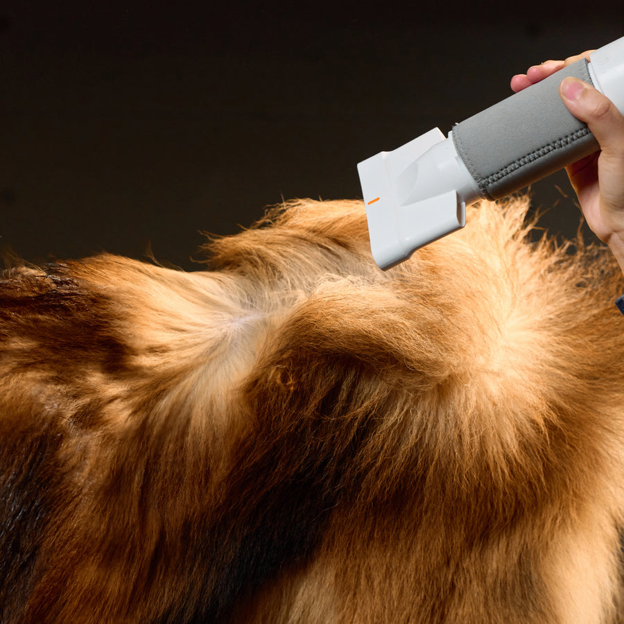 Jirpet Twin Triton I Unheated Pet Force Dryer