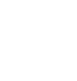 1 Big Dog