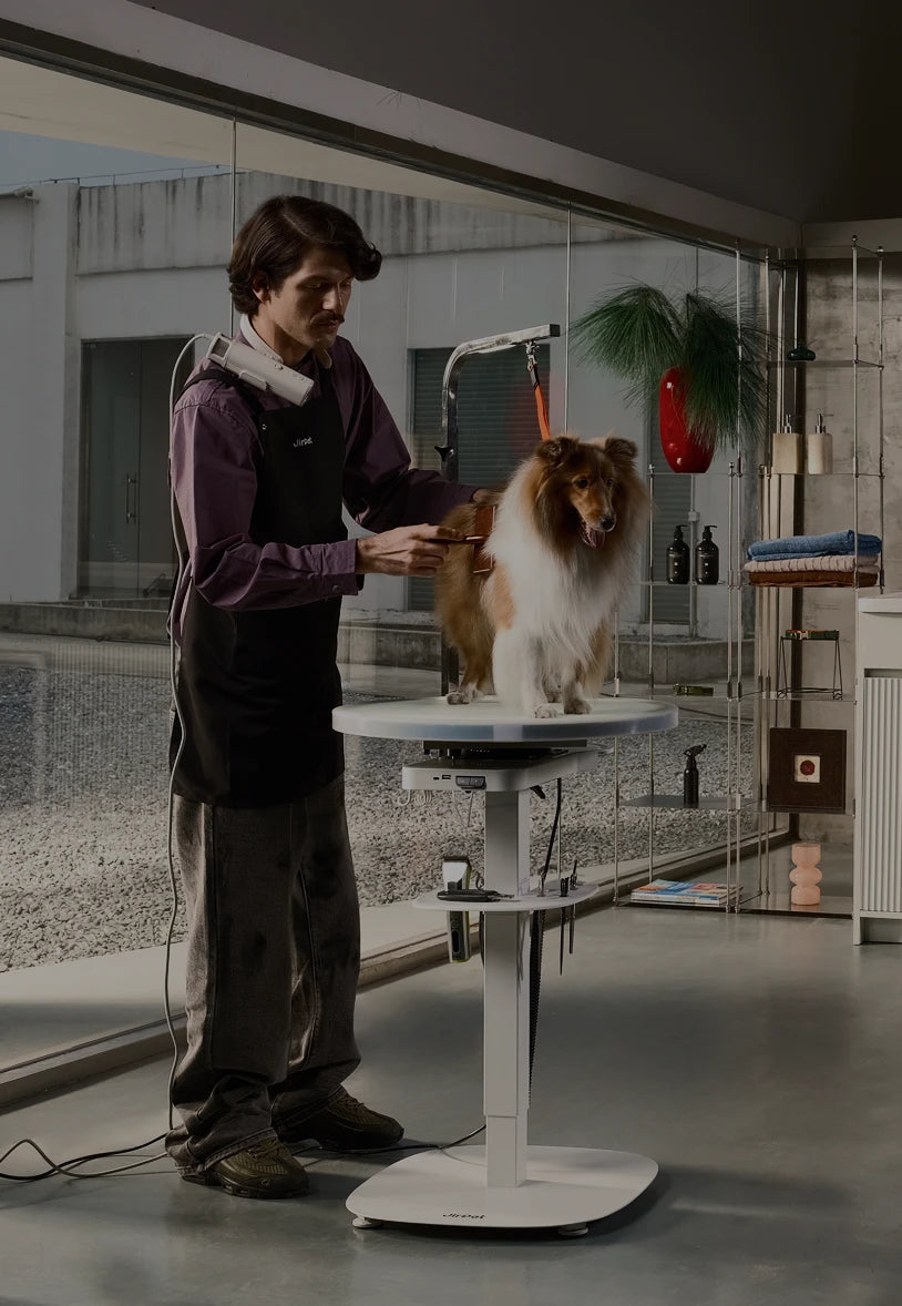 Pet Grooming Table