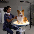 Radiant 360 Grooming Table