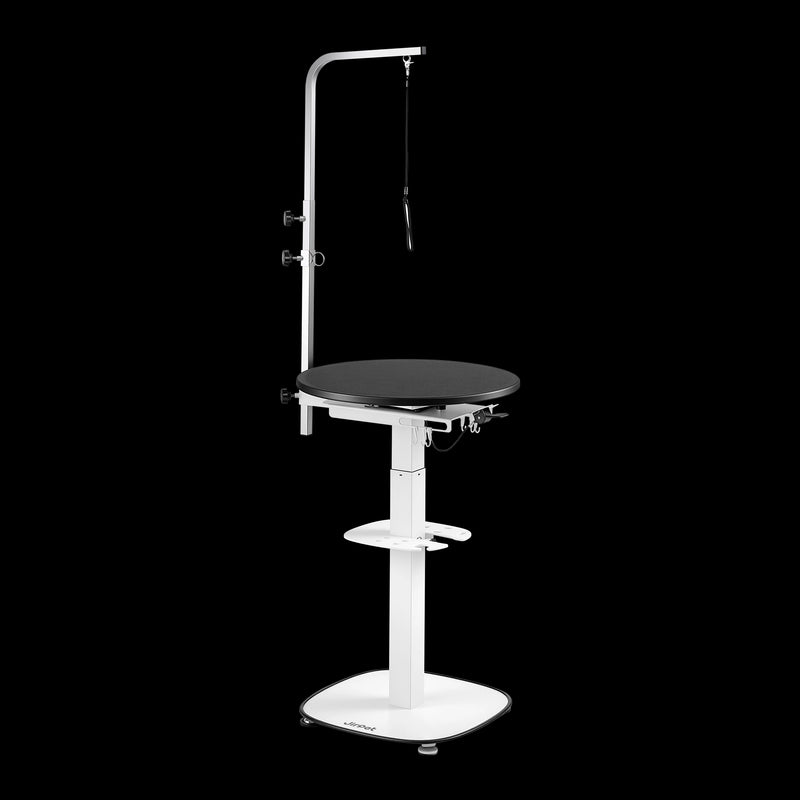 Rotique360