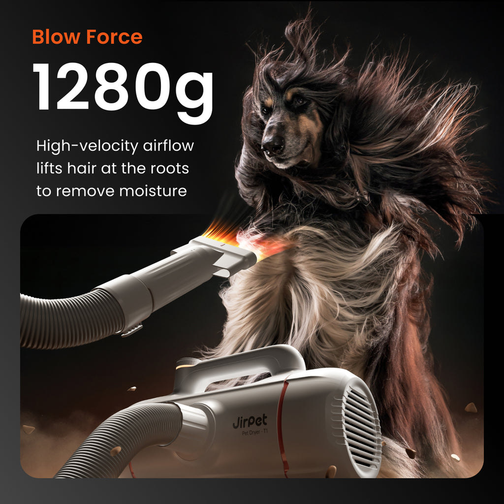 Jirpet Twin Titan I High Speed Pet Force Dryer