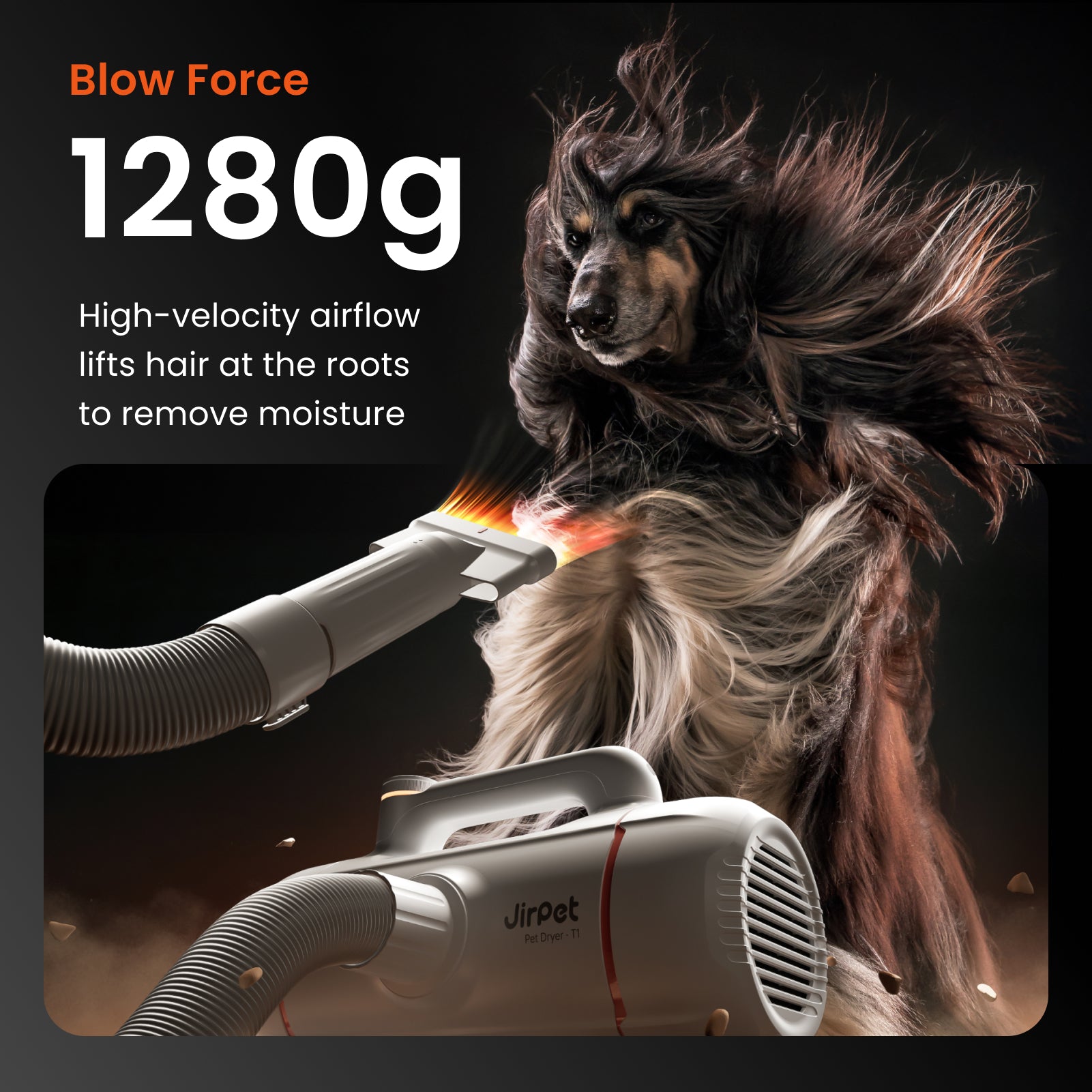 Jirpet Twin Titan I High Speed Pet Force Dryer