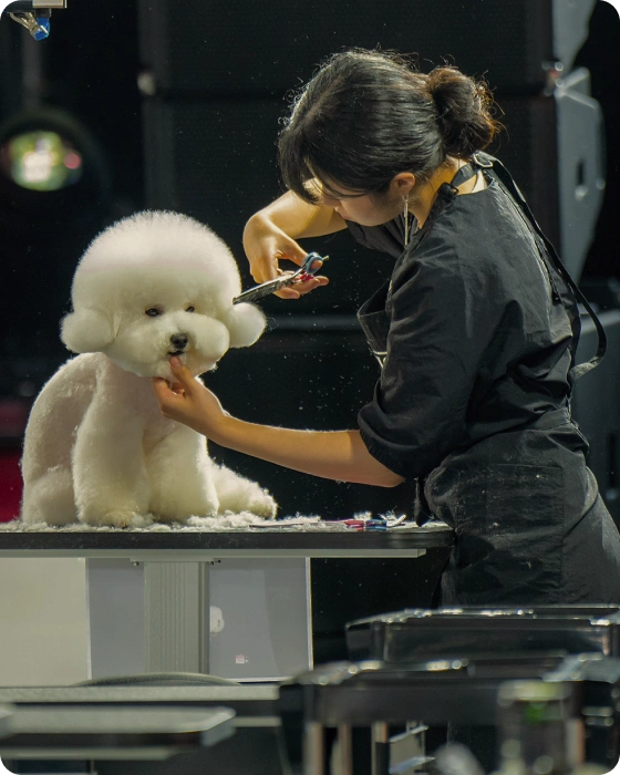 Grooming Competition