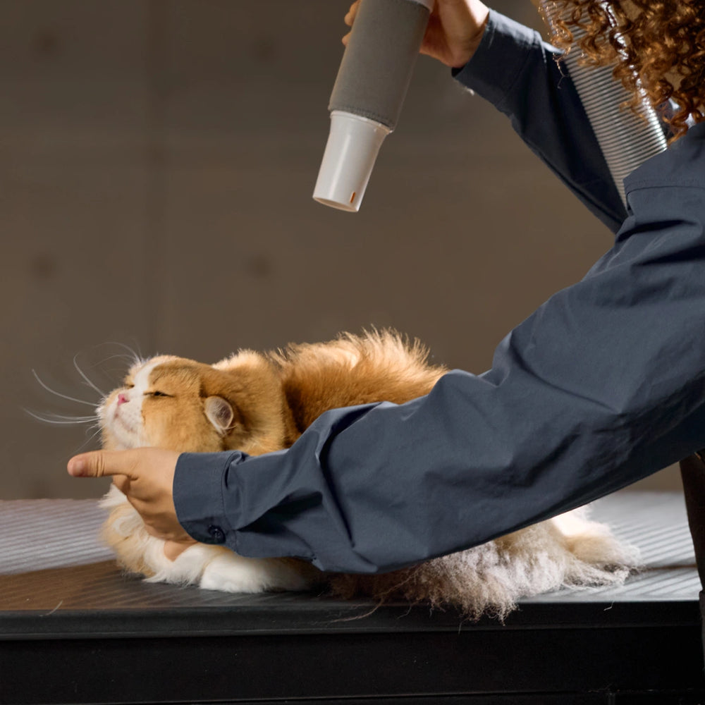 Safe for All Types of Pet